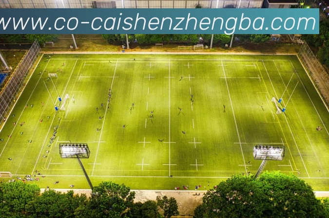 彩神争霸平台生态图